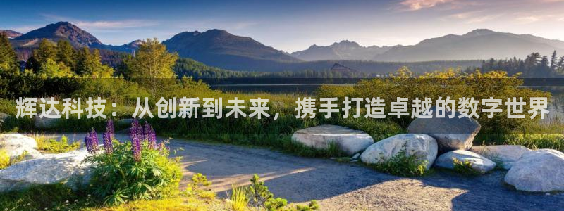 中国彩客网