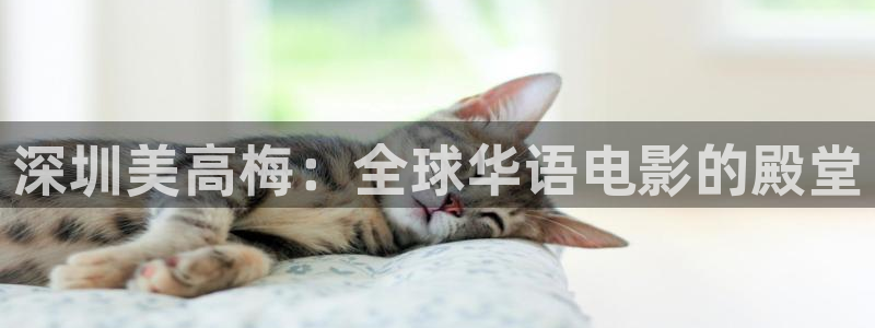 彩客网足球