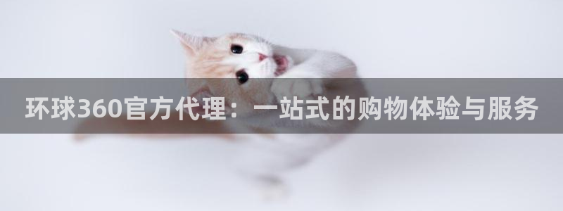 彩客网足球比分即时比分电脑版