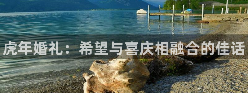 彩客网数