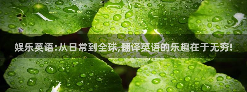 彩客网旧版完整比分彩彩客网
