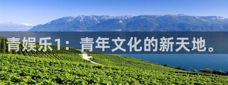 彩客网手机版官网