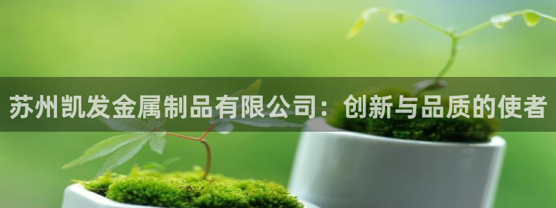 彩客网数据