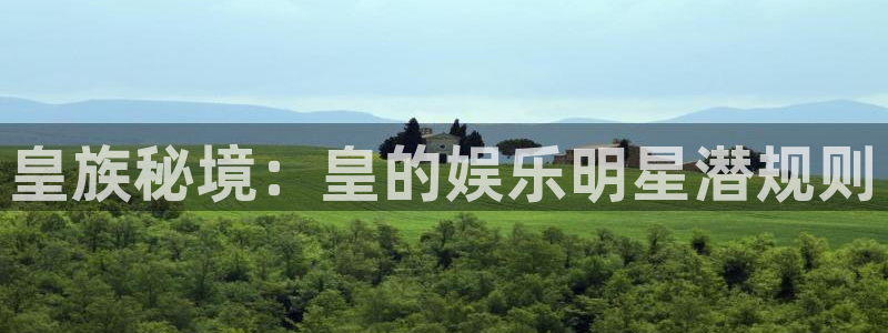 彩客网比分
