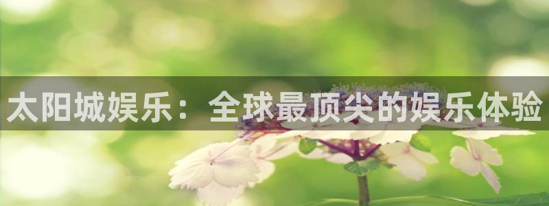 彩客网官网手机版竞彩网首页