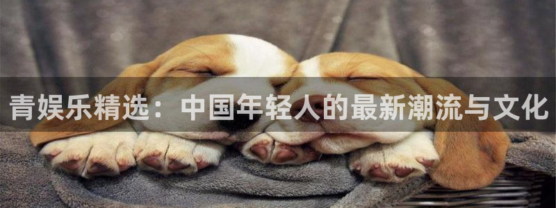 彩客网论坛