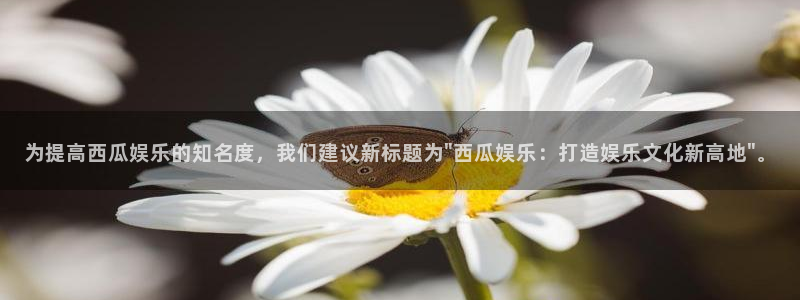 彩客网完整比分app