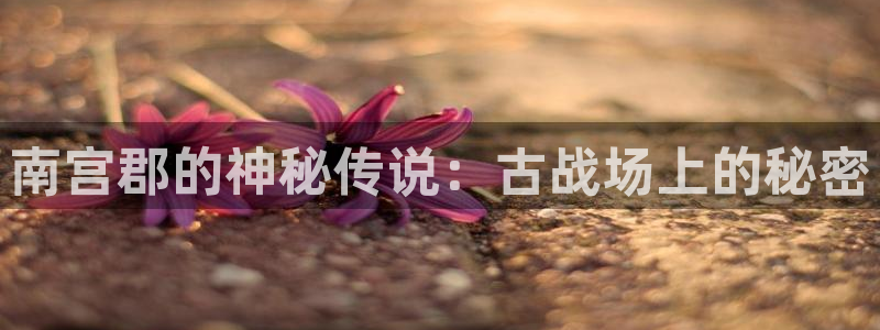 中国彩客网首页