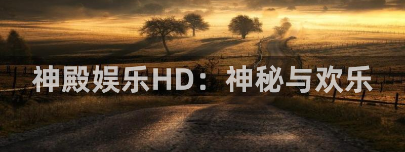 31彩客网