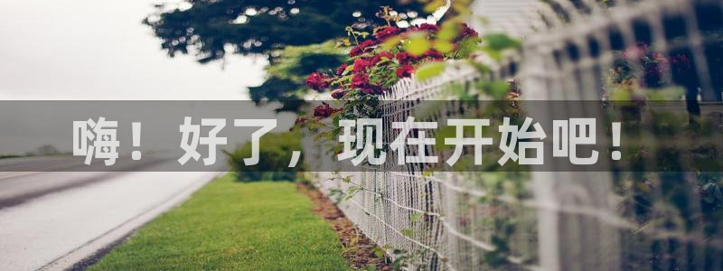 彩客网比分