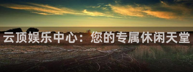 彩客网网址