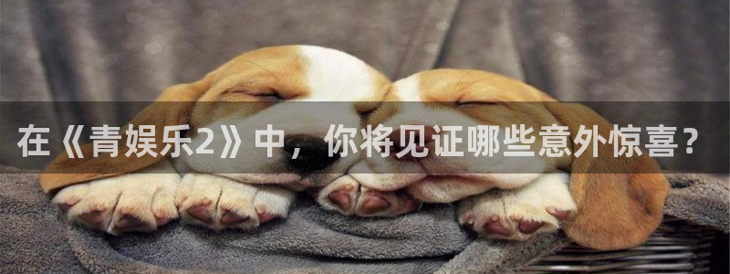 彩客网数据分析