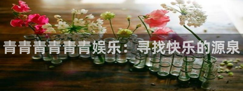 中国竞彩网官网手机版彩客网首页