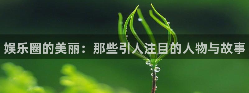 彩客网app手机版下载