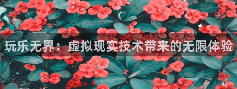 彩客网怎么不能用了