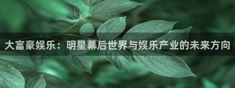 足球彩客网
