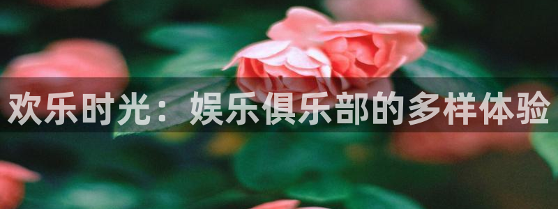 彩客网电脑版旧版