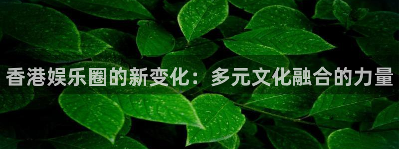 彩客网电脑版旧版：香港娱乐圈的新变化：多元文化融合的力量