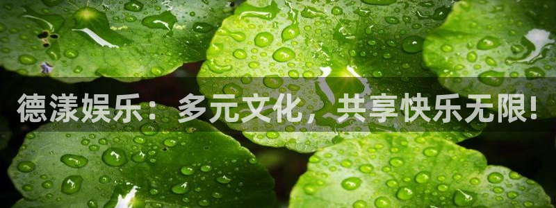 彩客网现场比分直播：德漾娱乐：多元文化，共享快乐无限!