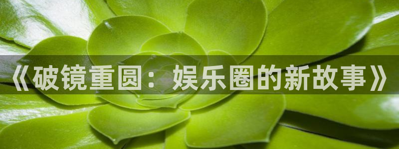 竞彩彩客网首页：《破镜重圆：娱乐圈的新故事》