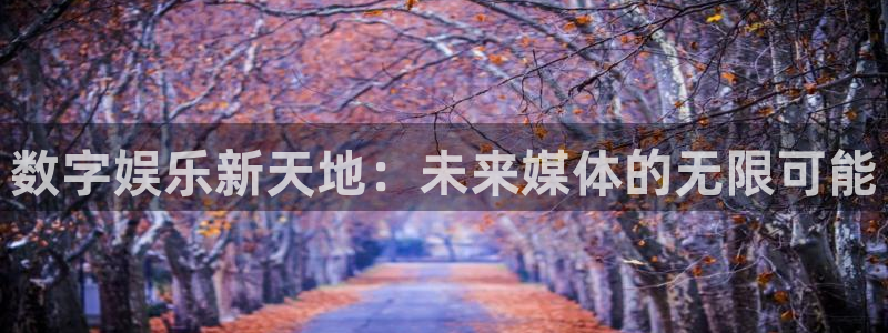 彩客网即时比分完整版：数字娱乐新天地：未来媒体的无限可能