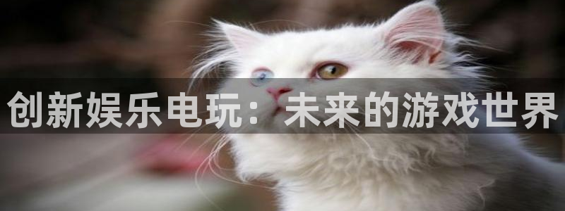 彩客网开奖查询：创新娱乐电玩：未来的游戏世界
