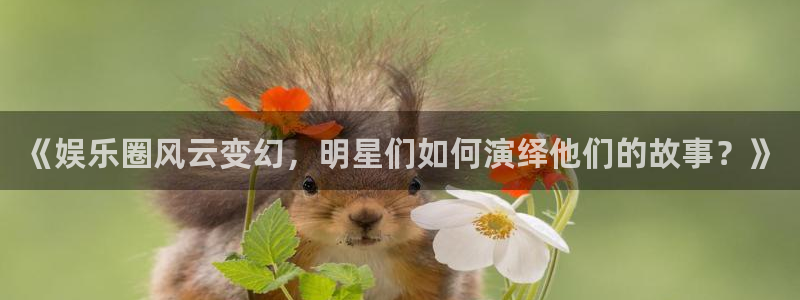 彩客网北单即时比分：《娱乐圈风云变幻，明星们如何演绎他们的故事？》