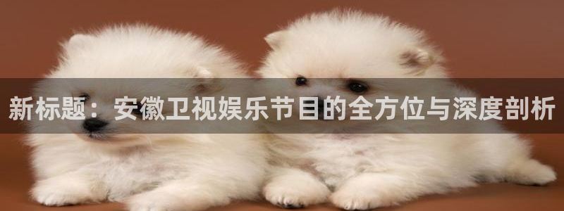 310win彩客网310完整比分：新标题：安徽卫视娱乐节目的全方位与深度剖析