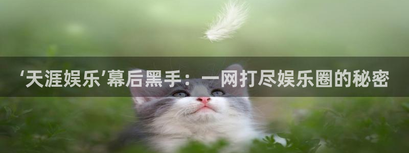 北单开奖最新结果彩客网：‘天涯娱乐’幕后黑手：一网打尽娱乐圈的秘密