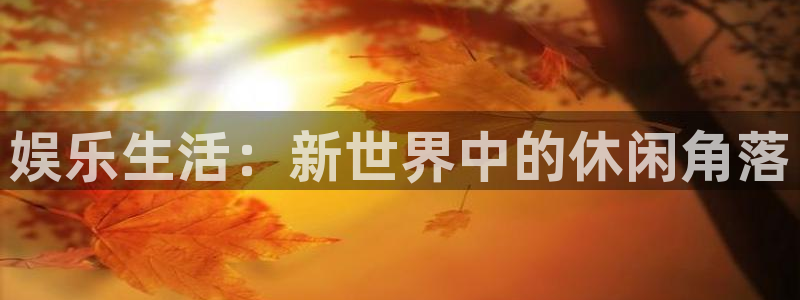彩客网比分直播即时比分：娱乐生活：新世界中的休闲角落