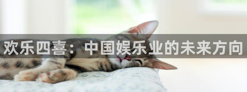 彩客网下载：欢乐四喜：中国娱乐业的未来方向