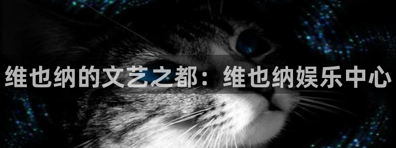 彩客网官网完整版旧版下载：维也纳的文艺之都：维也纳娱乐中心